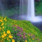 citate_clip_image006