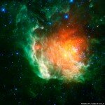 COSMIC-ROSE-BERKELEY