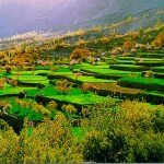 Hunza