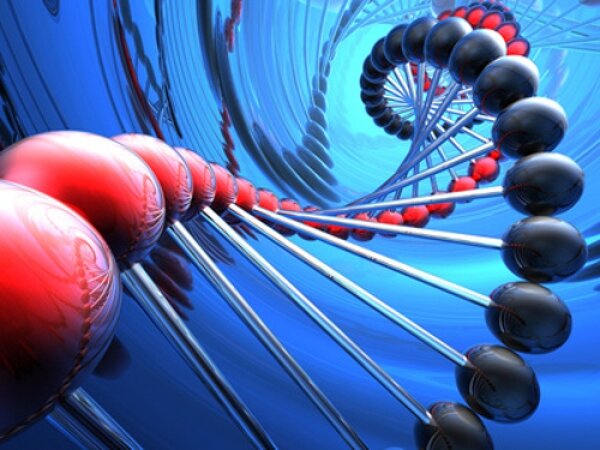 Poti sa-ti schimbi propriul ADN – epigenetica confirma!