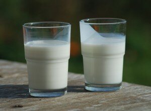 laptele
